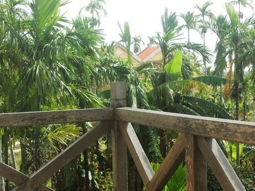 Lila Homestay Hoi An Bagian luar foto