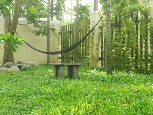 Lila Homestay Hoi An Bagian luar foto