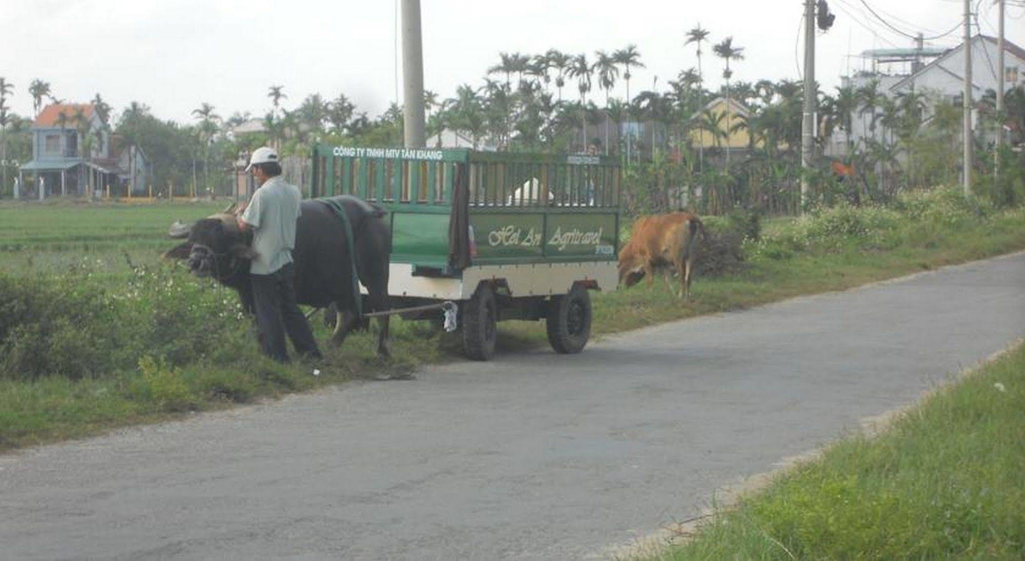 Lila Homestay Hoi An Bagian luar foto